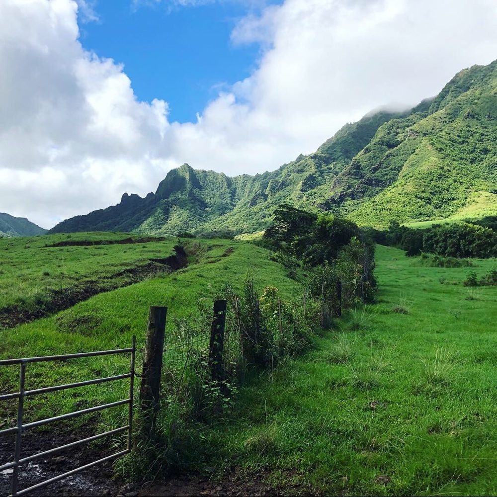 Meet your Posher, Diane